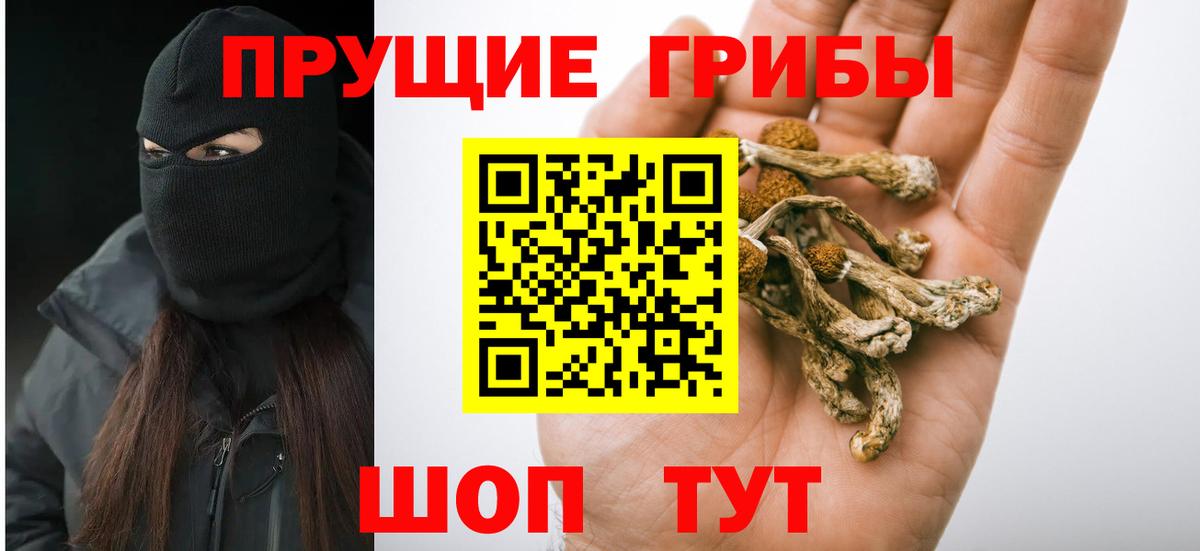 где купить наркоту  Вход с VPN  Кстово  Псилоцибиновые грибы Cubensis 